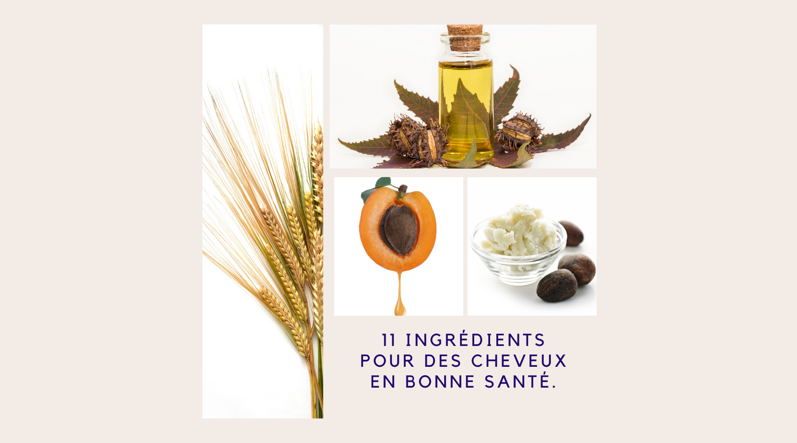 11 ingrédients naturels que vous devez rechercher dans vos soins capillaires